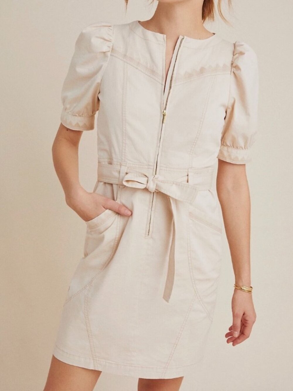 The Anthropologie Lorette Seamed Mini Dress Puff Sleeve Embroidered Details Sz 4
